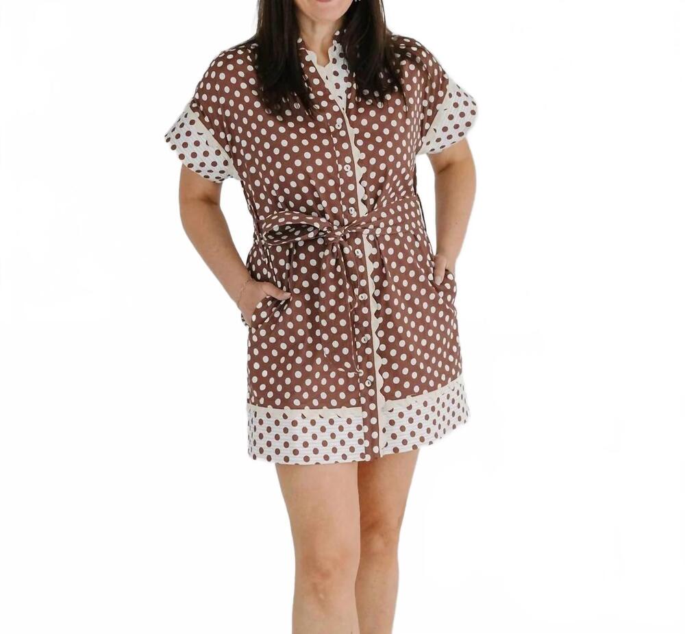 NEW THML vivian short sleeve polka dot mini dress in brown